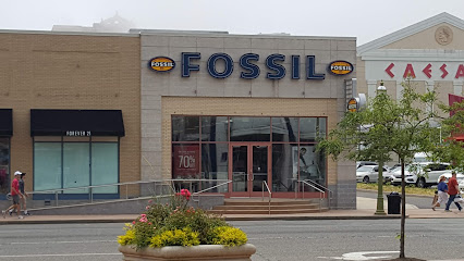 Fossil Outlet