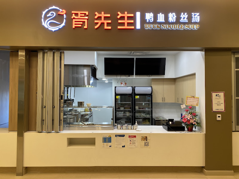Duck noodle soup