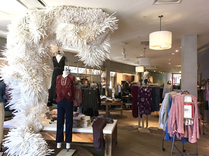 Anthropologie