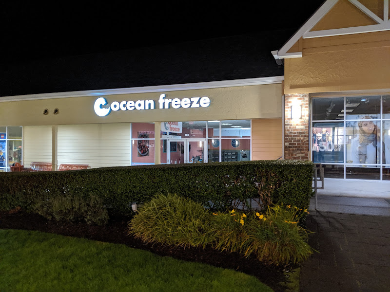 Ocean Freeze
