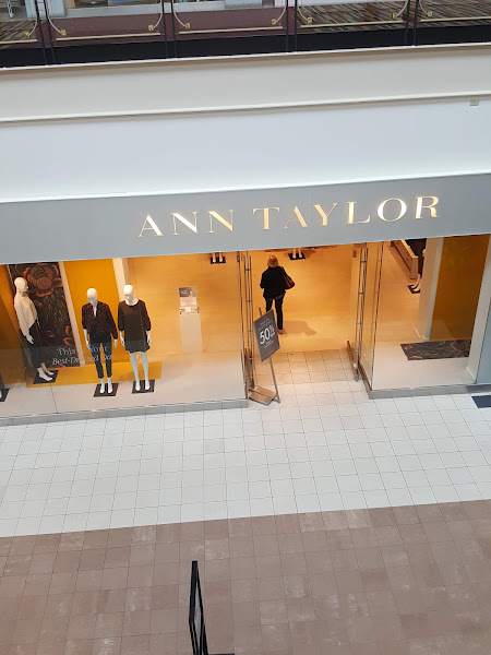 Ann Taylor