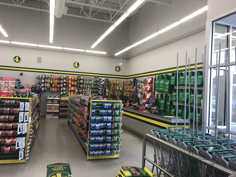 Dollarama