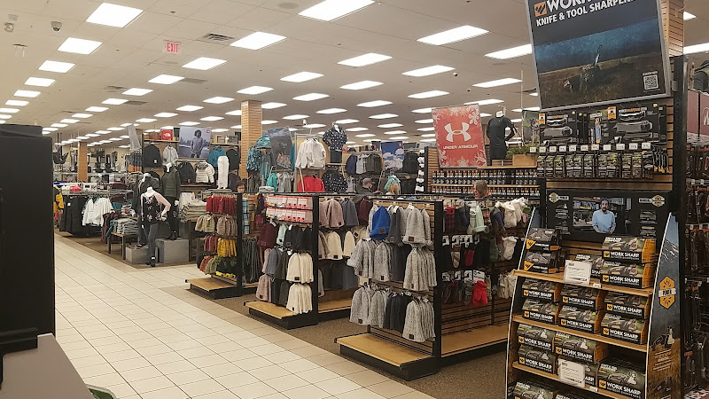 Scheels