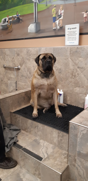 Pet Valu