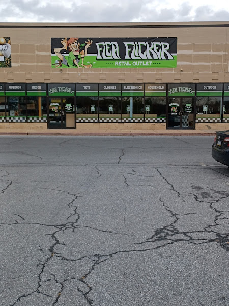 Flea Flickers Llc