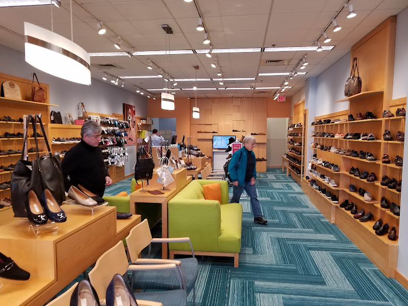 SHOE FLY