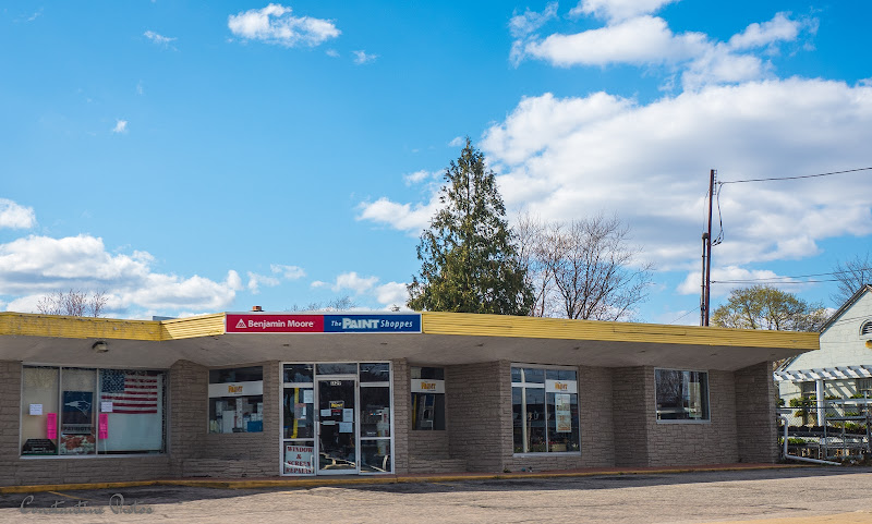 The Paint Shoppes