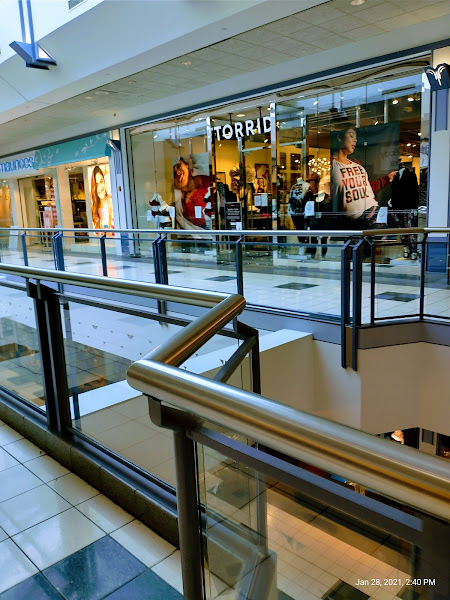 Torrid