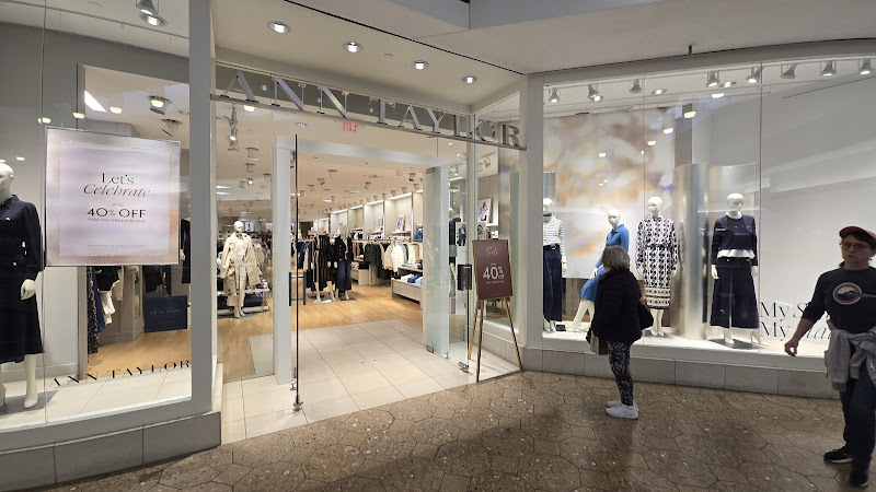Ann Taylor