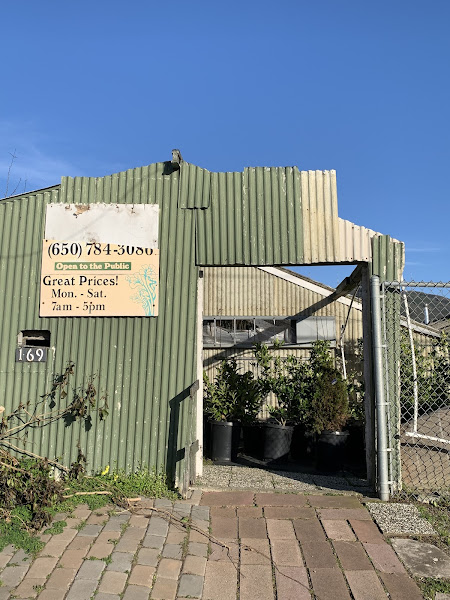 Gomez Nursery