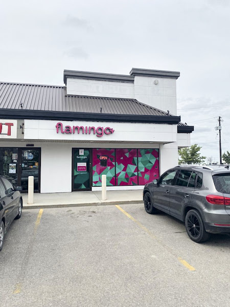 Flamingo+