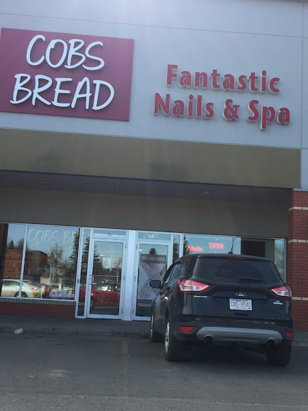 COBS Bread