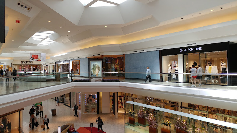 Anthropologie