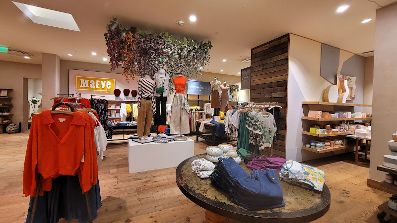 Anthropologie