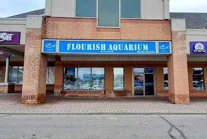 Flourish Aquarium