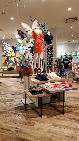 Anthropologie