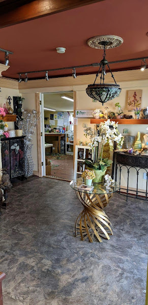Elana's Broad St. Florist & Gifts