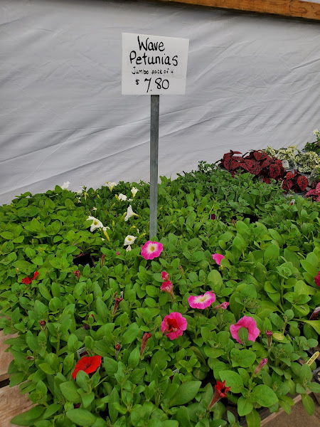 Clement Farms Greenhouse