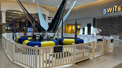 Bungee Flight