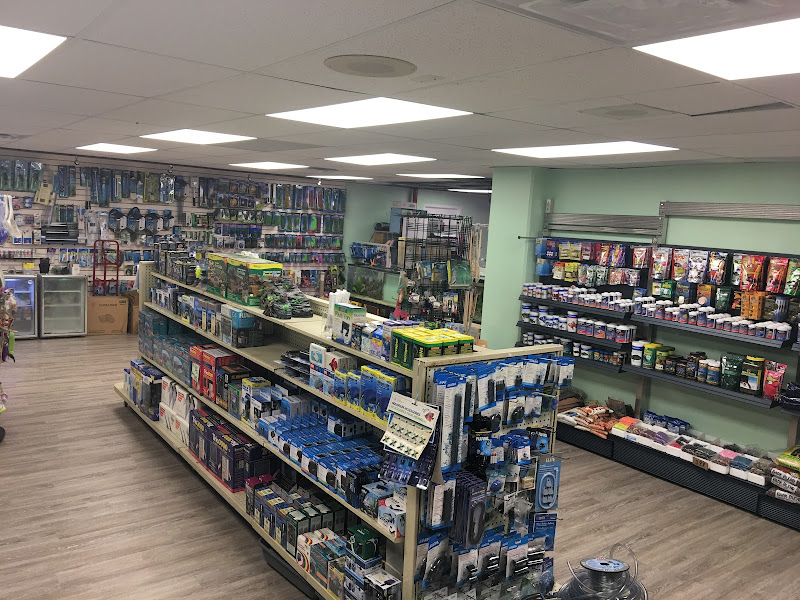 Downtown Pet Plus