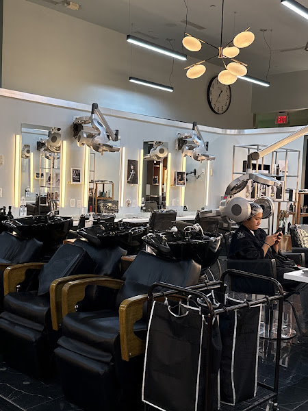 Elie Tanous Salon