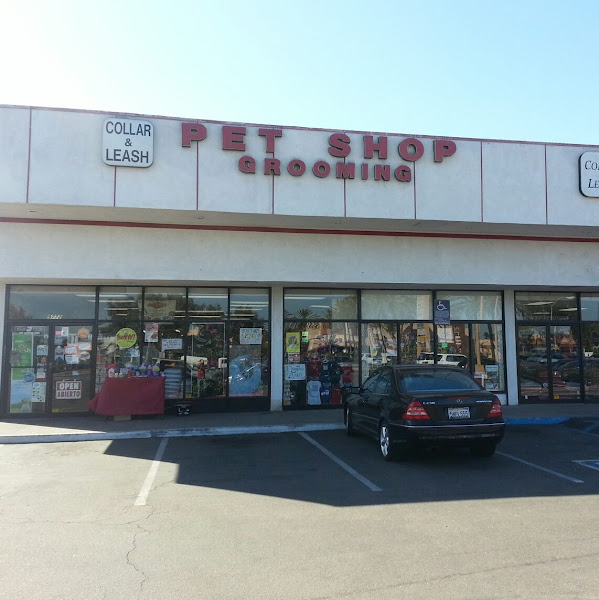 Collar and Leash Pet Shop