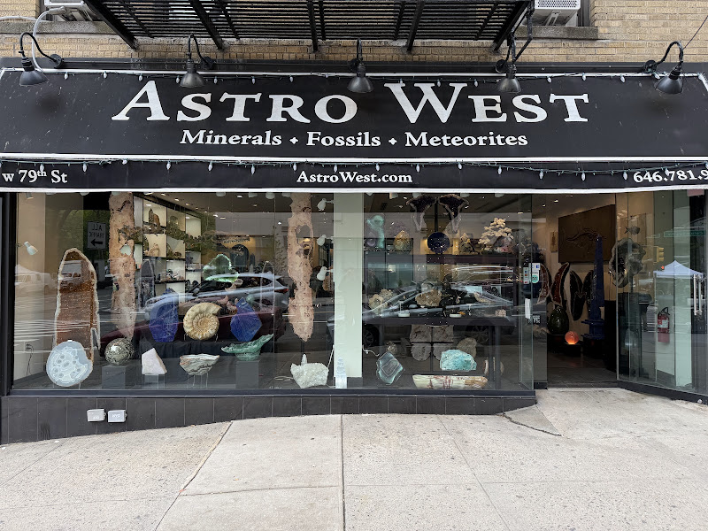 Astro West Fine Minerals Fossils Meteorites