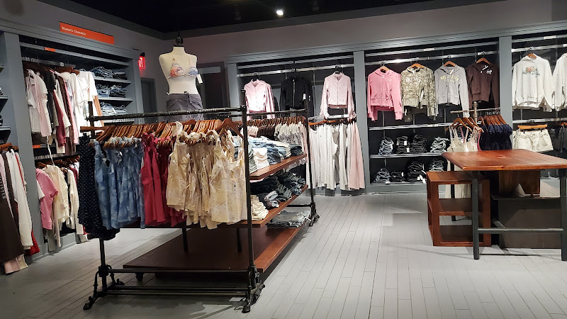 Hollister Co.