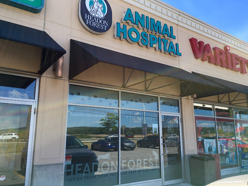 Headon Forest Animal Hospital