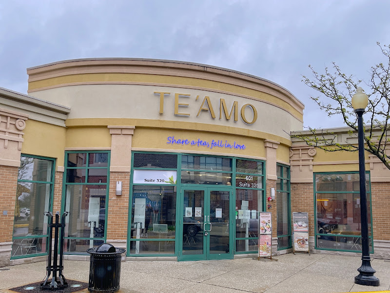 TE'AMO Boba & Dessert - Schaumburg