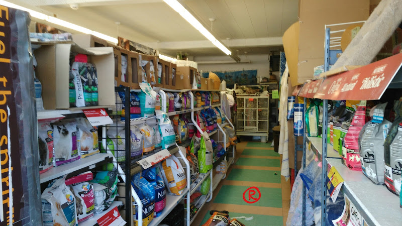 Debye's Pet World