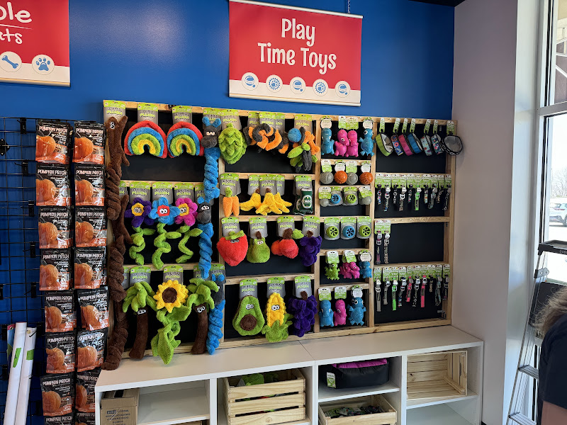 Splash and Dash Groomerie & Boutique
