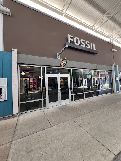 FOSSIL