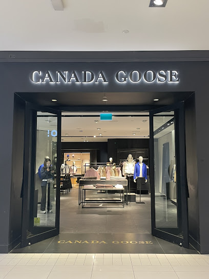 Canada Goose
