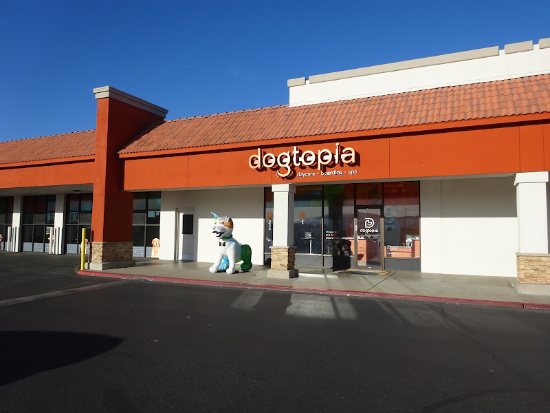 Dogtopia of Albuquerque West