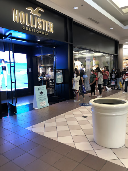 Hollister Co.