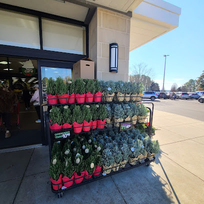 Trader Joe's
