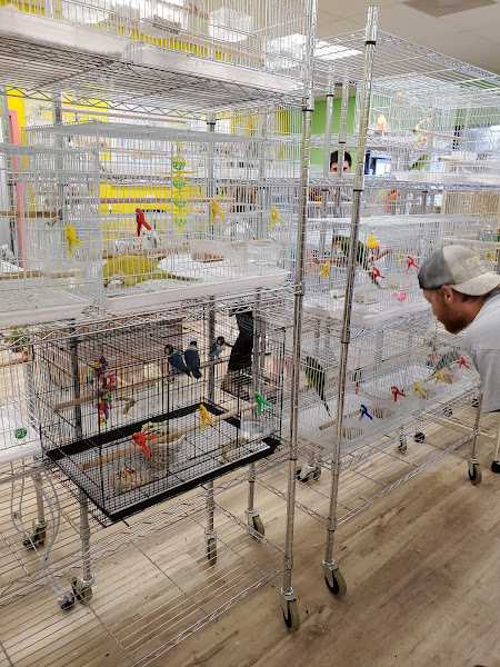 Just For Parrots