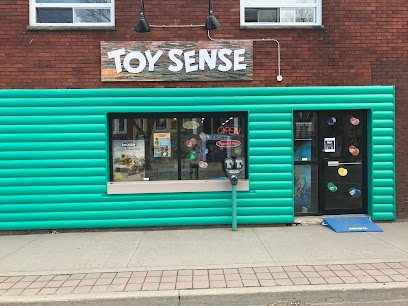 Toy Sense