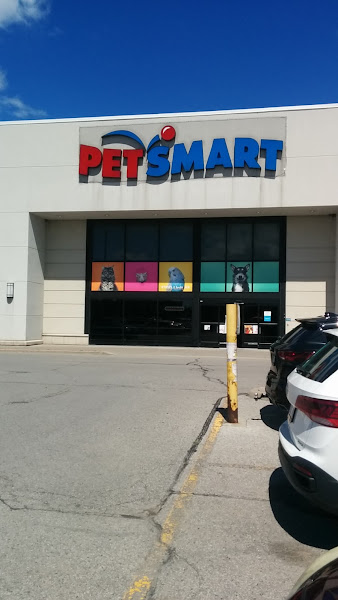 PetSmart Grooming