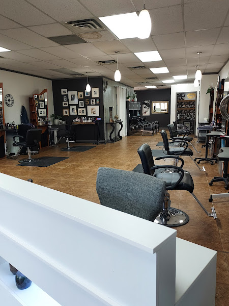 Hairtopia
