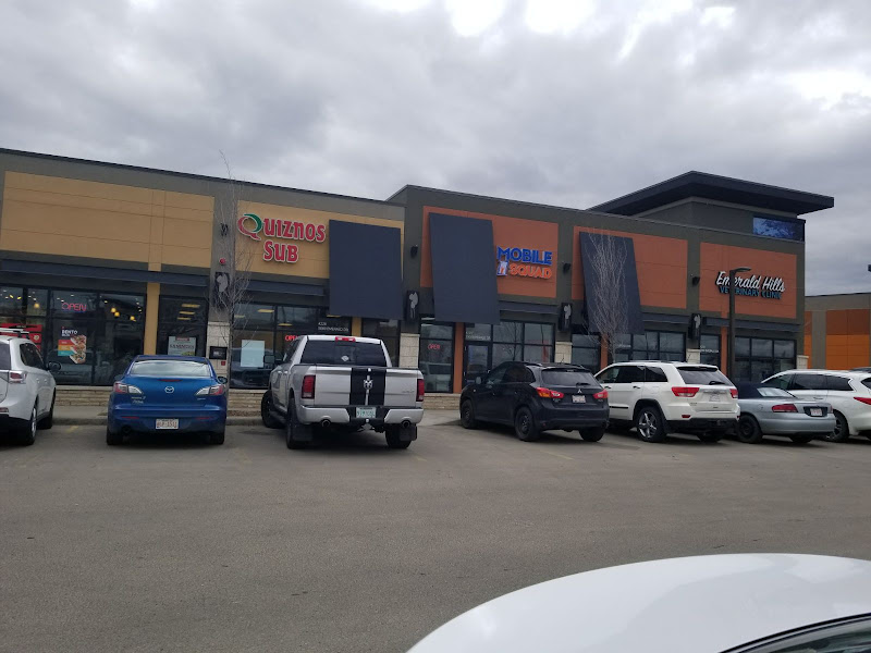 Mobile Squad- Smartphone Repair Experts- Sherwood Park