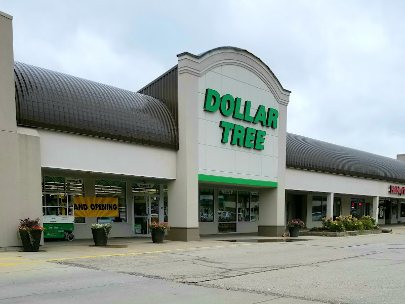 Dollar Tree
