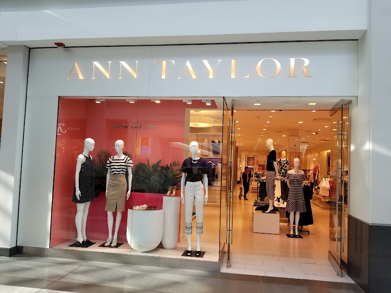 Ann Taylor