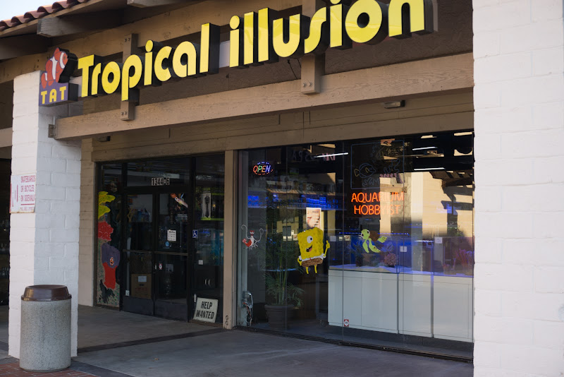 Tat Tropical Illusion