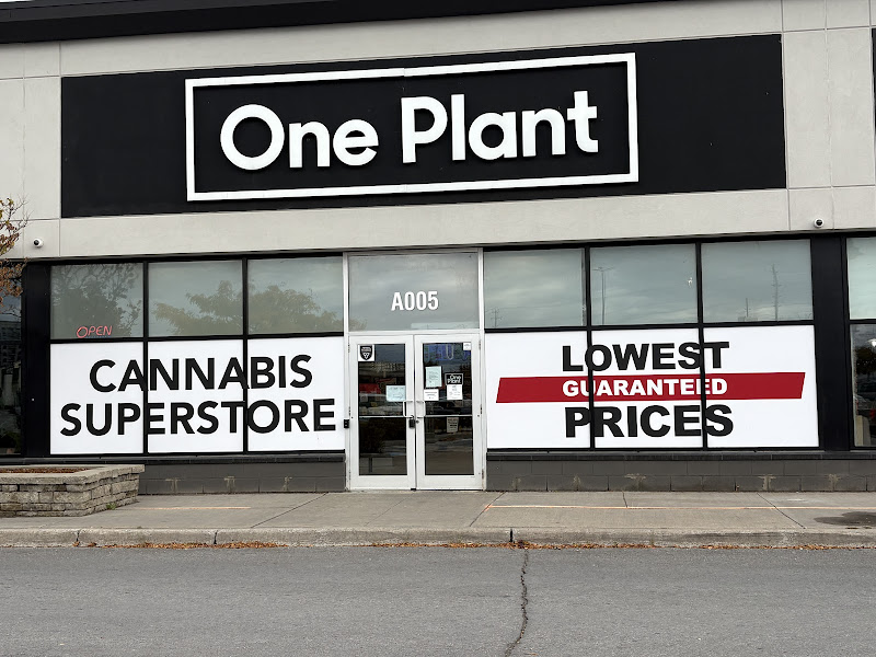 One Plant