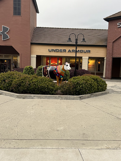 Michael Kors Outlet