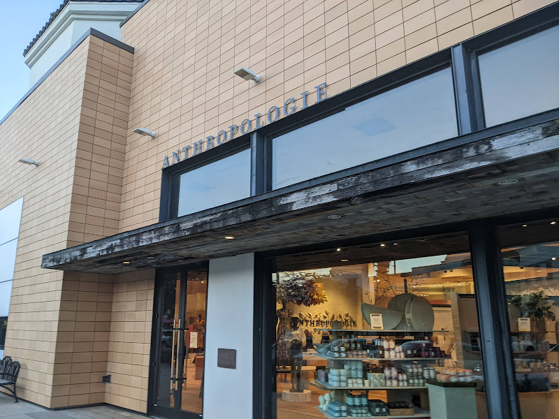 Anthropologie