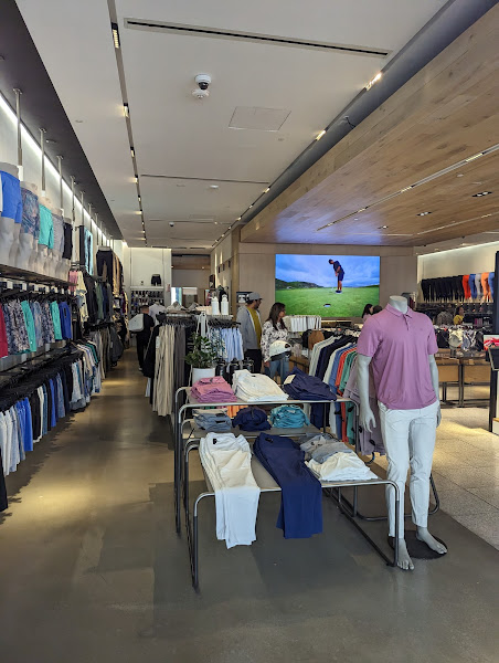 Bonobos