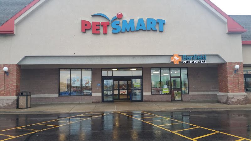 PetSmart